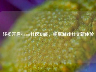 轻松开启Steam社区功能，畅享游戏社交新体验