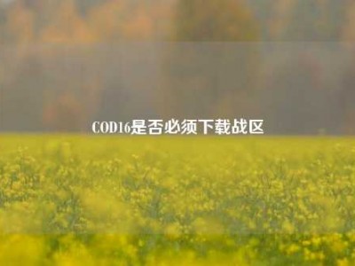 COD16是否必须下载战区