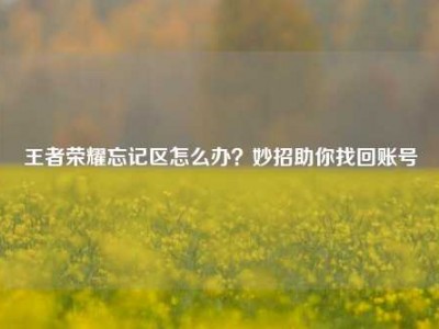 王者荣耀忘记区怎么办？妙招助你找回账号