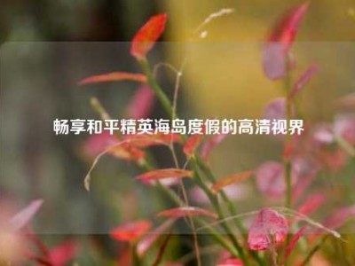 畅享和平精英海岛度假的高清视界