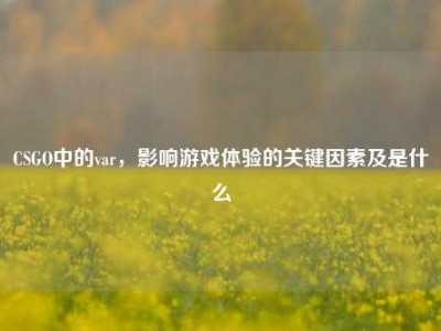 CSGO中的var，影响游戏体验的关键因素及是什么