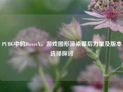 PUBG中的DirectX，游戏图形渲染幕后力量及版本选择探讨