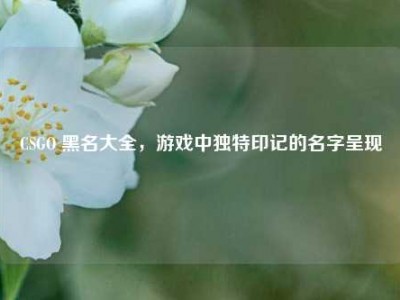 CSGO 黑名大全，游戏中独特印记的名字呈现