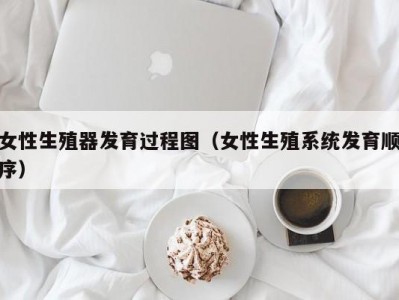 女性生殖器发育过程图（女性生殖系统发育顺序）