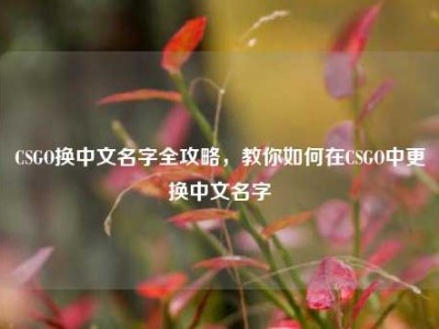 CSGO换中文名字全攻略，教你如何在CSGO中更换中文名字