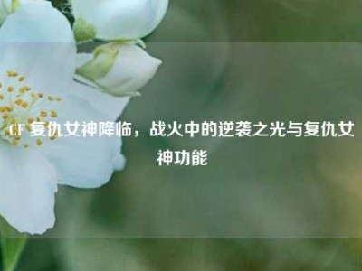 CF 复仇女神降临，战火中的逆袭之光与复仇女神功能