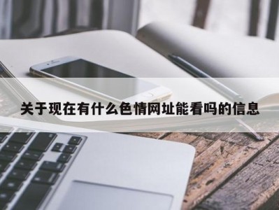 关于现在有什么色情网址能看吗的信息