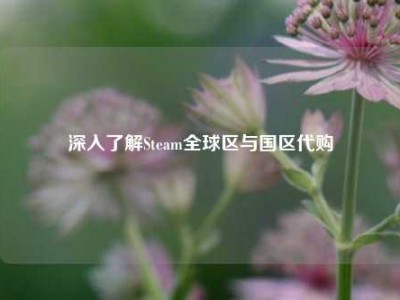 深入了解Steam全球区与国区     