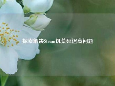 探索解决Steam饥荒延迟高问题