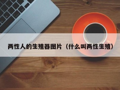 两性人的生殖器图片（什么叫两性生殖）
