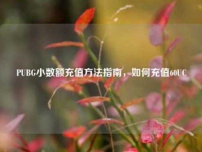 PUBG小数额充值方法指南，如何充值60UC