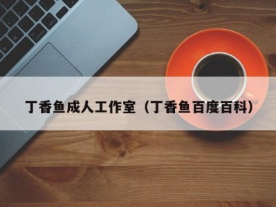 丁香鱼成人工作室（丁香鱼百度百科）