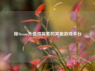 除Steam外值得探索的其他游戏平台