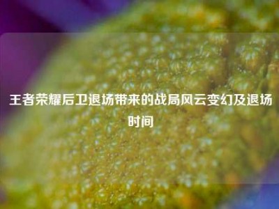 王者荣耀后卫退场带来的战局风云变幻及退场时间