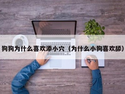 狗狗为什么喜欢添小穴（为什么小狗喜欢舔）