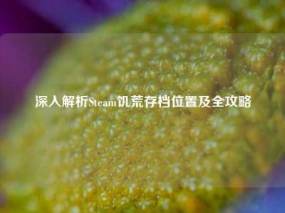 深入解析Steam饥荒存档位置及全攻略