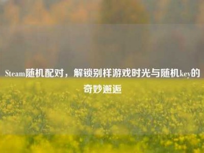 Steam随机配对，解锁别样游戏时光与随机key的奇妙邂逅