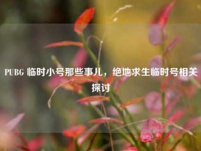 PUBG 临时小号那些事儿，绝地求生临时号相关探讨