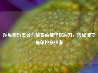 深度剖析王者荣耀各英雄单挑实力，揭秘谁才是单挑最强者