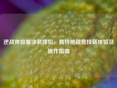 逆战体验服涂装排位，独特枪战竞技新体验及操作指南
