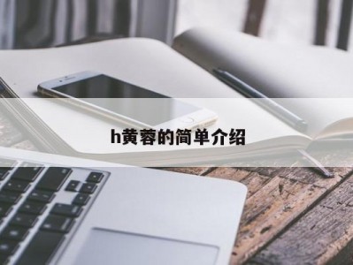 h黄蓉的简单介绍