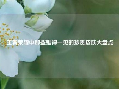 王者荣耀中那些难得一见的珍贵皮肤大盘点