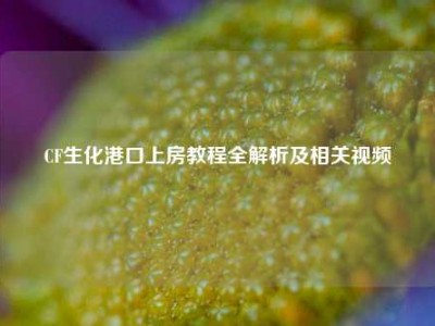 CF生化港口上房教程全解析及相关视频