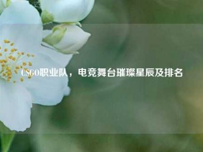 CSGO职业队，电竞舞台璀璨星辰及排名