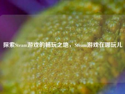 探索Steam游戏的畅玩之地，Steam游戏在哪玩儿