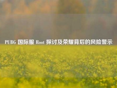 PUBG 国际服 Root 探讨及荣耀背后的风险警示