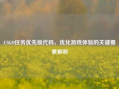 CSGO任务优先级代码，优化游戏体验的关键要素解析