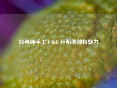 探寻纯手工 CSGO 开箱的独特魅力