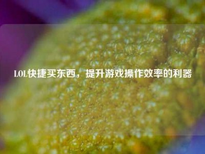 LOL快捷买东西，提升游戏操作效率的利器