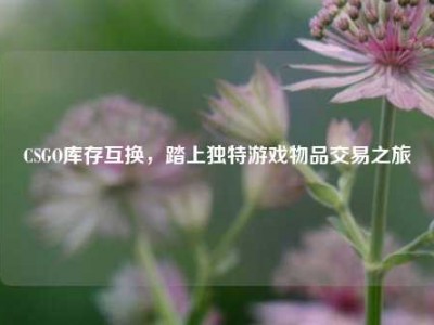 CSGO库存互换，踏上独特游戏物品交易之旅