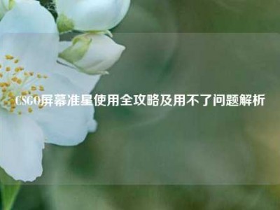 CSGO屏幕准星使用全攻略及用不了问题解析
