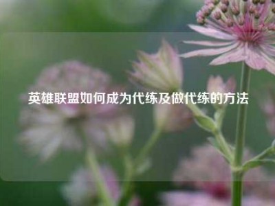 英雄联盟如何成为代练及做代练的方法