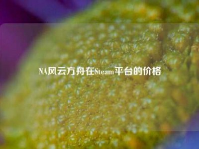 NA风云方舟在Steam平台的价格