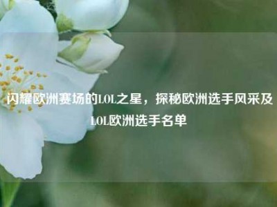 闪耀欧洲赛场的LOL之星，探秘欧洲选手风采及LOL欧洲选手名单