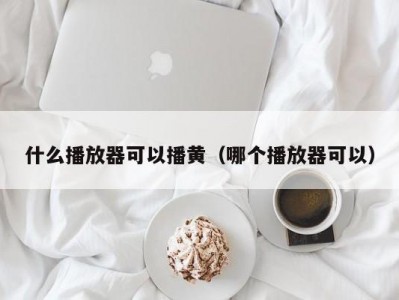 什么播放器可以播黄（哪个播放器可以）