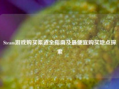 Steam游戏购买渠道全指南及最便宜购买地点探索