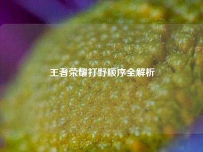 王者荣耀打野顺序全解析