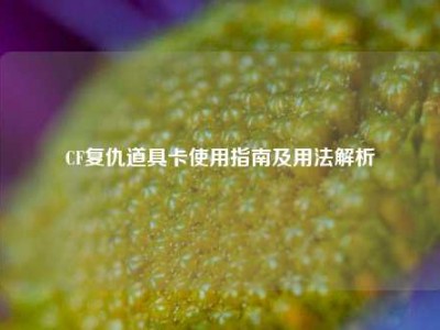 CF复仇道具卡使用指南及用法解析