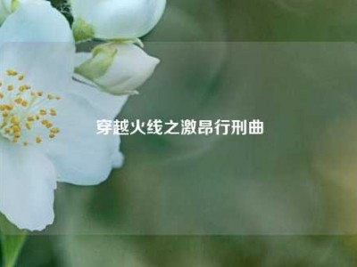 穿越火线之激昂行刑曲