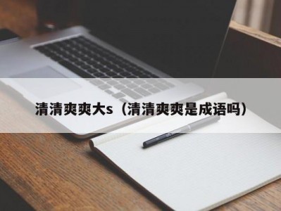 清清爽爽大s（清清爽爽是成语吗）