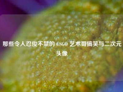 那些令人忍俊不禁的 CSGO 艺术哥搞笑与二次元头像