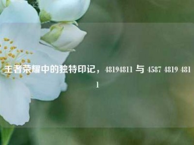 王者荣耀中的独特印记，48194811 与 4587 4819 4811