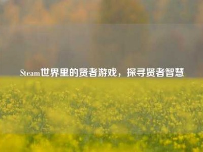 Steam世界里的贤者游戏，探寻贤者智慧