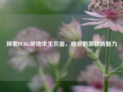 探索PUBG绝地求生页面，感受刺激战场魅力