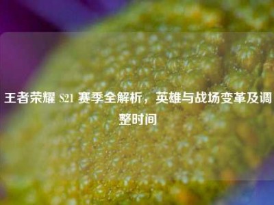 王者荣耀 S21 赛季全解析，英雄与战场变革及调整时间