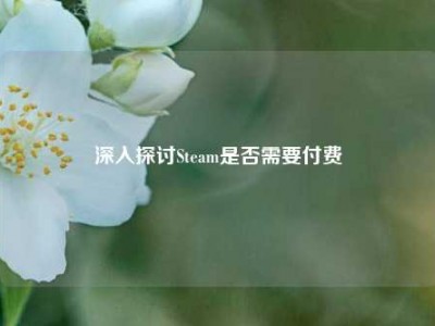 深入探讨Steam是否需要付费